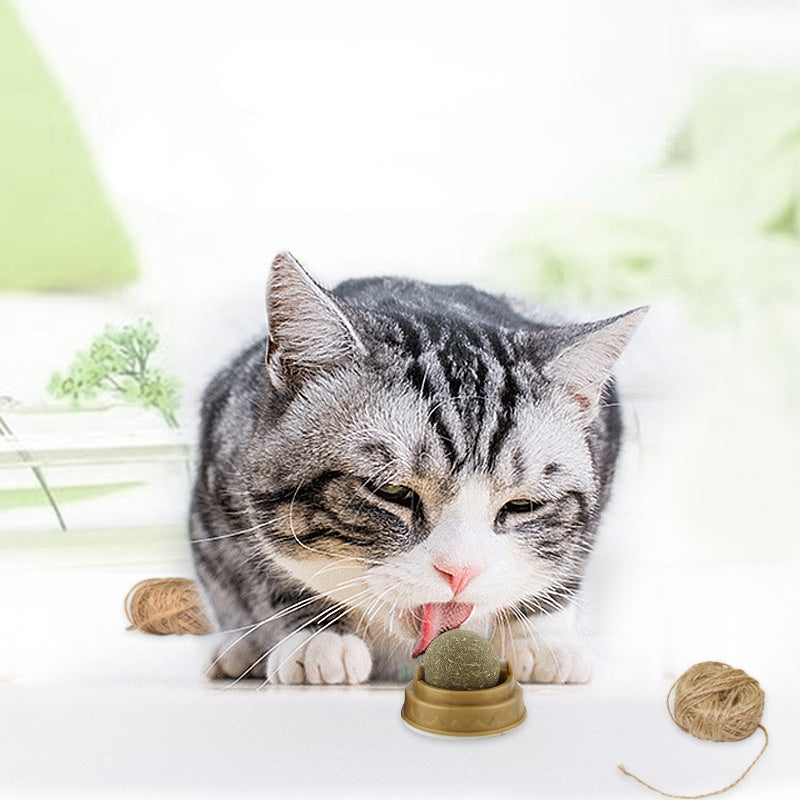 Catnip balls, treats for cats.