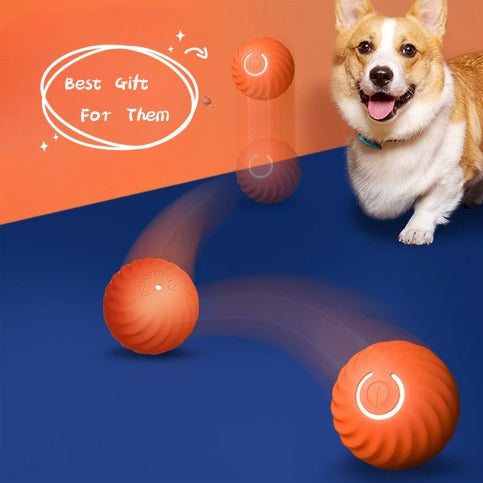 Bite-resistant dog ball