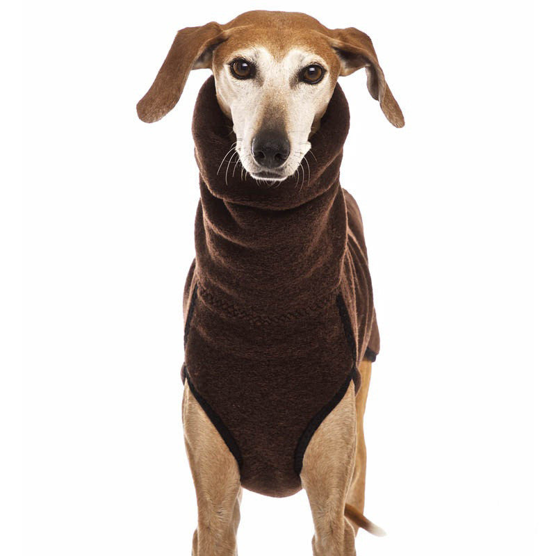 Winter clothing for medium and large dogs.