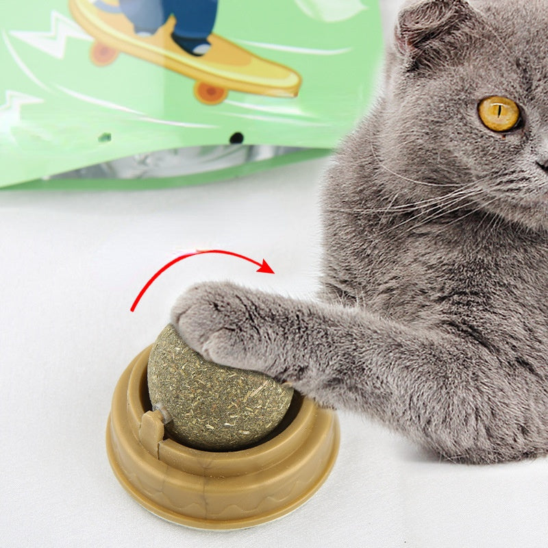 Catnip balls, treats for cats.