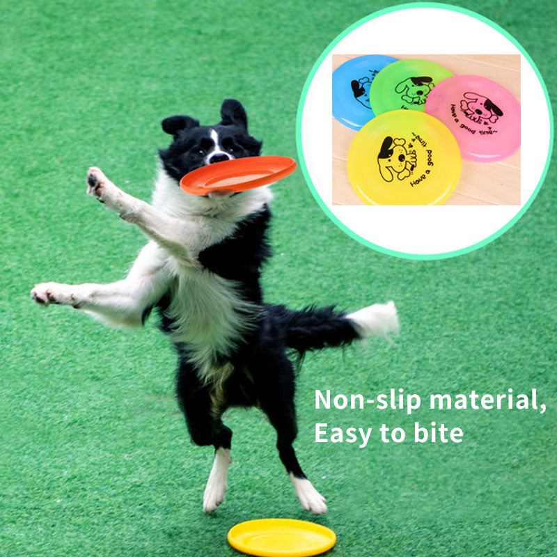 Silicone flying saucer, fun for dogs.