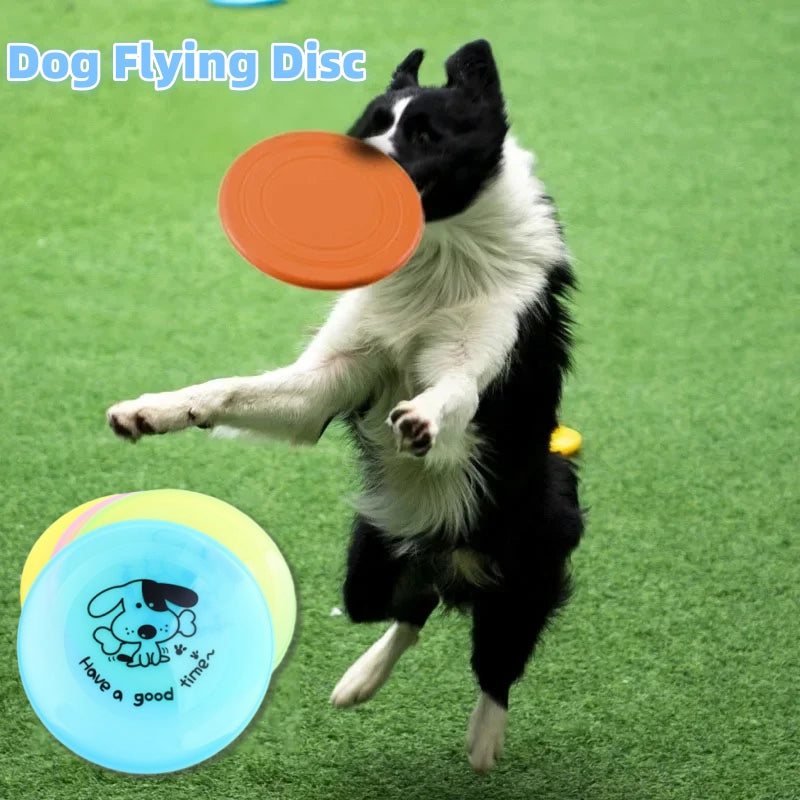 Silicone flying saucer, fun for dogs.